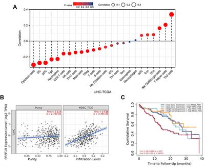 An Integrated Analysis of the Identified PRPF19 as an Onco-immunological Biomarker Encompassing the Tumor Microenvironment, Disease Progression, and Prognoses in Hepatocellular Carcinoma